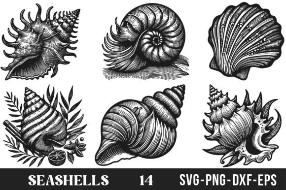 Download Seashells SVG Bundle - Premium Resources